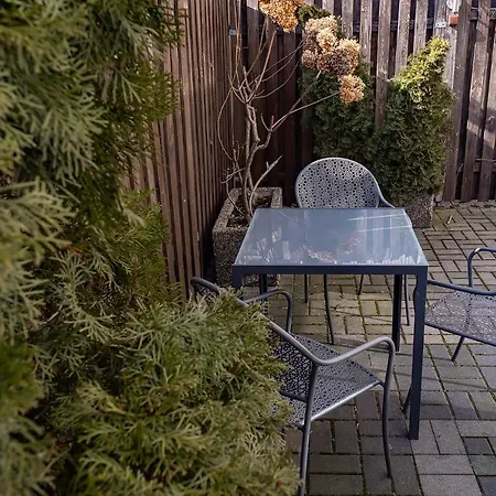 Dwupoziomowy Venus Częstochowa